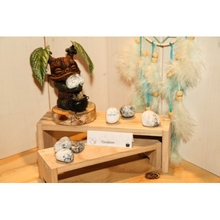 Calcédoine dentrique