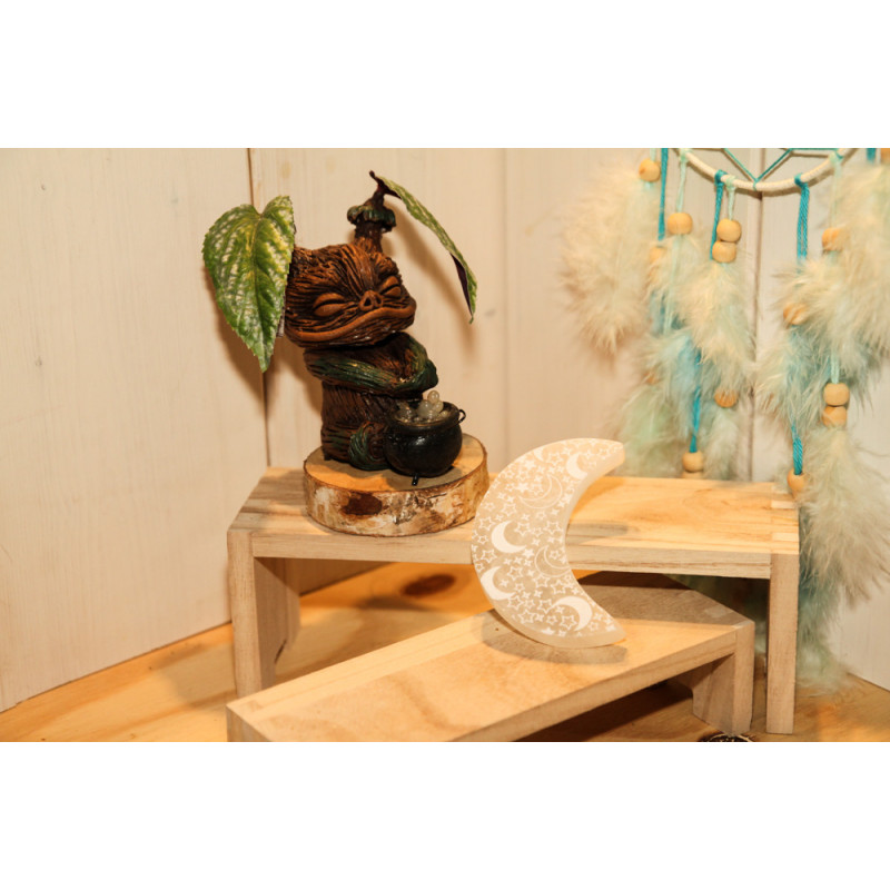 Plateau Sélénite Lune