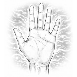 Palmaire énergétique