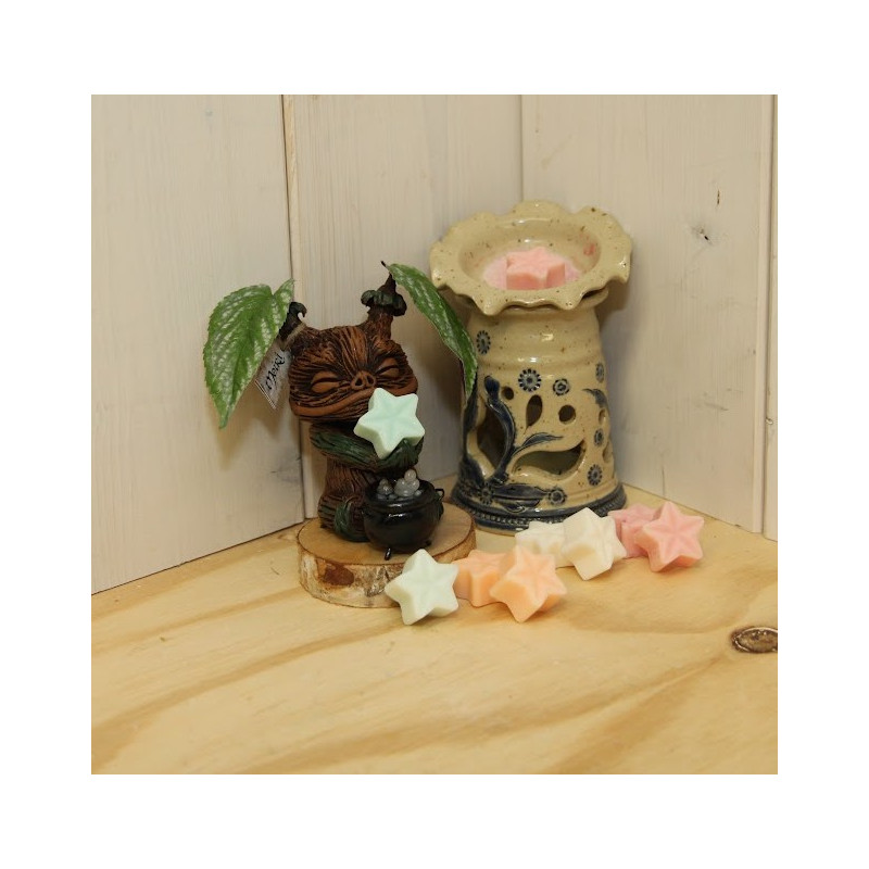 Fondant parfumé (lot de 6)