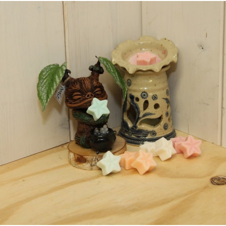 Fondant parfumé (lot de 6)